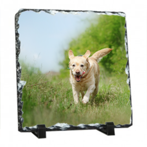 Gloss Finish 19cm Square Photo Slate