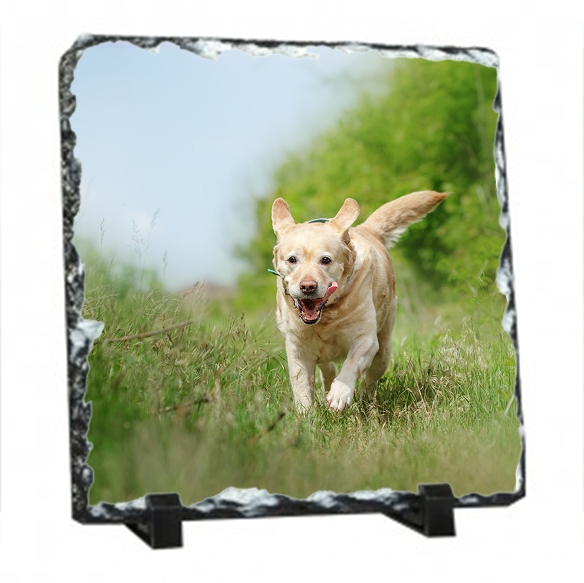 Gloss Finish 19cm Square Photo Slate