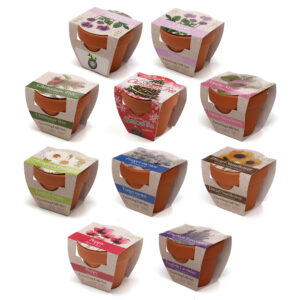 Standard Growing Gift with Mini Terracotta Pot