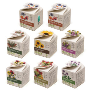 Mini Box Seed Kit