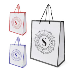 Newquay Medium Glossy Paper Bag